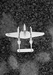 Just a cool image of a P-38 with bomb damage visible in the jungle below.
