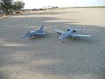 Falcon and Hog together
