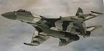Actual SU-35. Number 904 crashed...