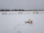 The Beave' on skis