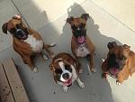 I've got a gang.