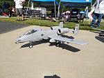 My A-10 is finally dressed in MI ANG colors