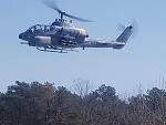 Cobra in flight