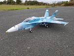 Here is my entry for my customised 90mm freewing Hornet. VFA 12 Aggressor squadron colours. Graphics from Callie. Dave Luff