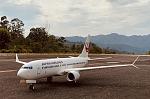 Japan Airines JAL