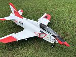 Stingin’ Hawk 45