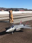 Hugo the dog ready for action with his new friend.