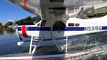 Flyzone Beaver