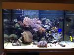 Marine tank.