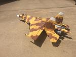 After weathering and dull coat
