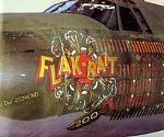 Flak bait nose art.   

Look at the number of missions!